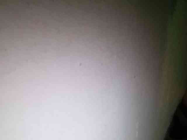 Pempemliciouss