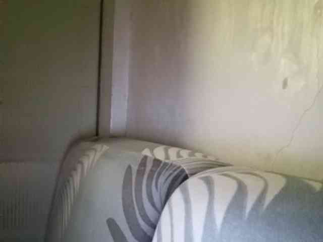 Smithsophie webcam