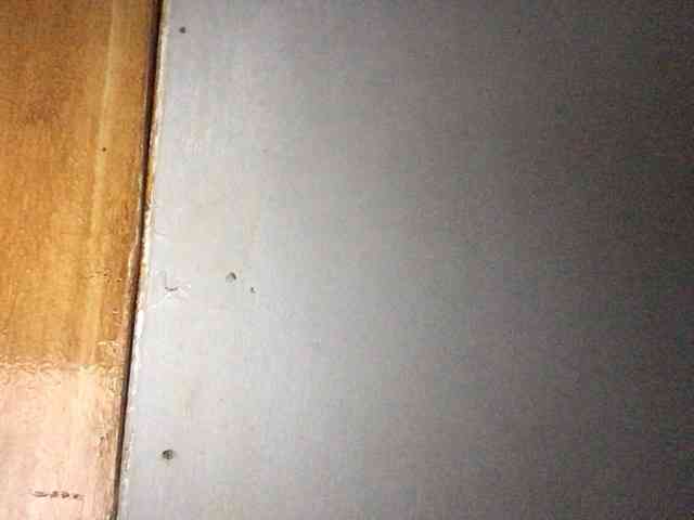 Smithsophie webcam