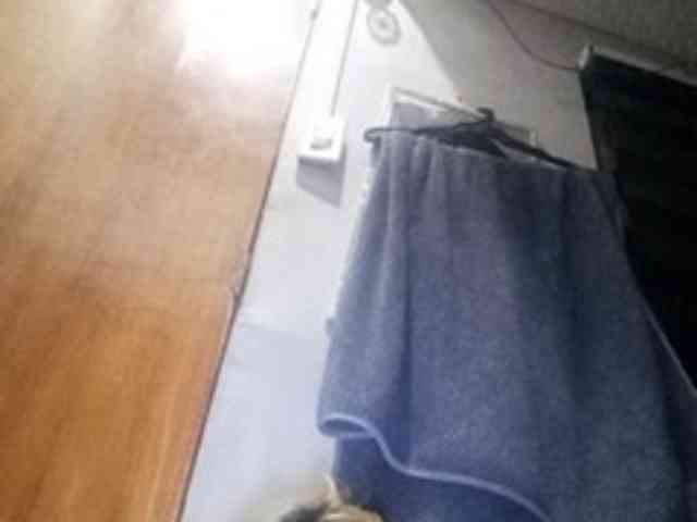 Smithsophie webcam