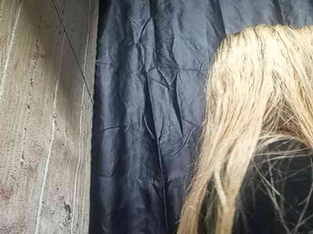 Smithsophie's Sexcam