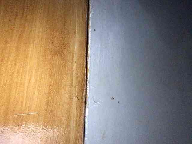 Smithsophie webcam