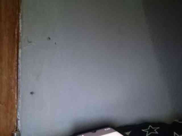 Smithsophie webcam