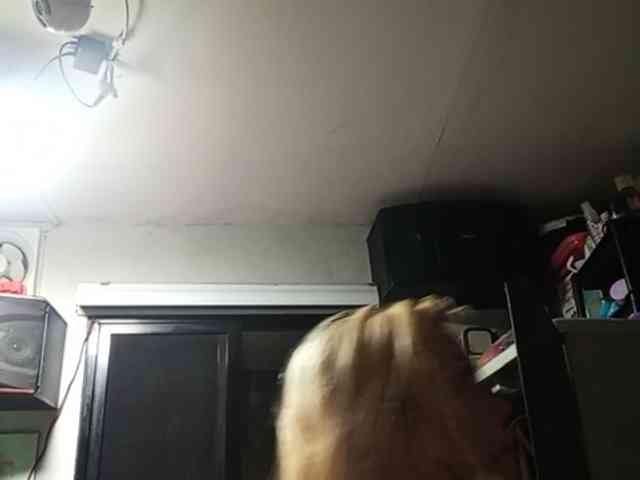 Smithsophie webcam