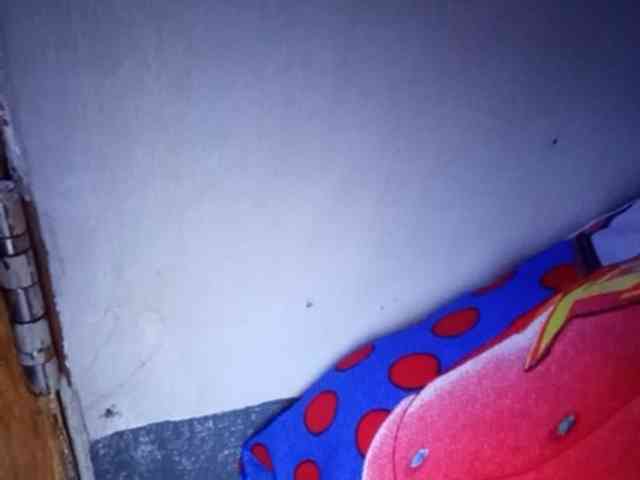 Smithsophie webcam