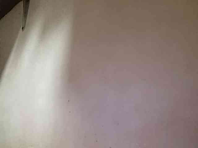 Smithsophie webcam
