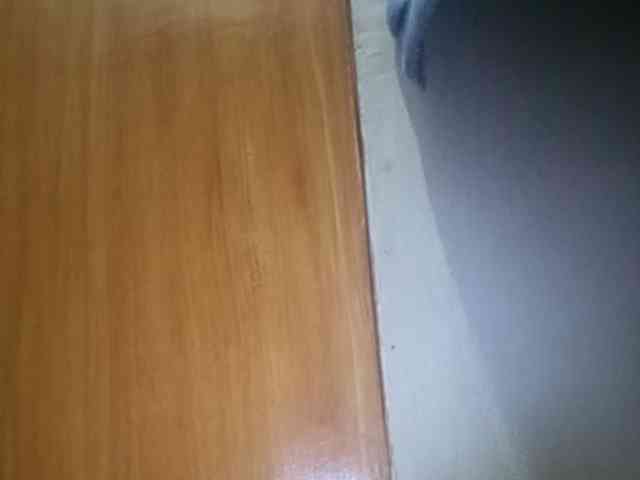 Smithsophie webcam
