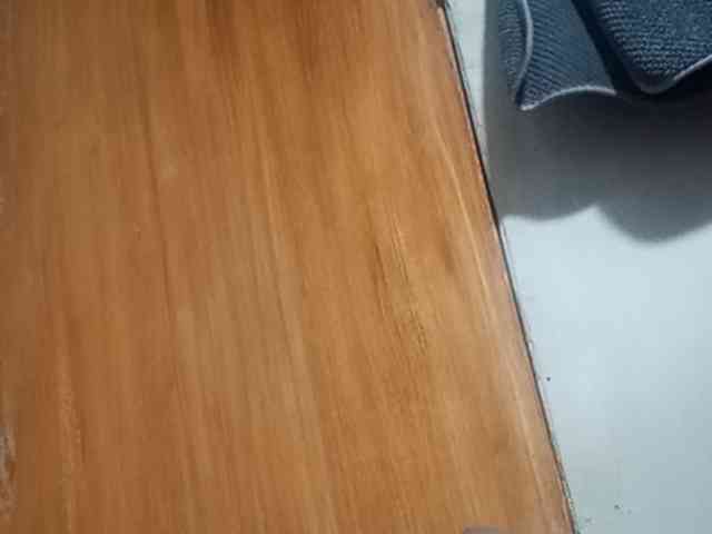 Smithsophie webcam