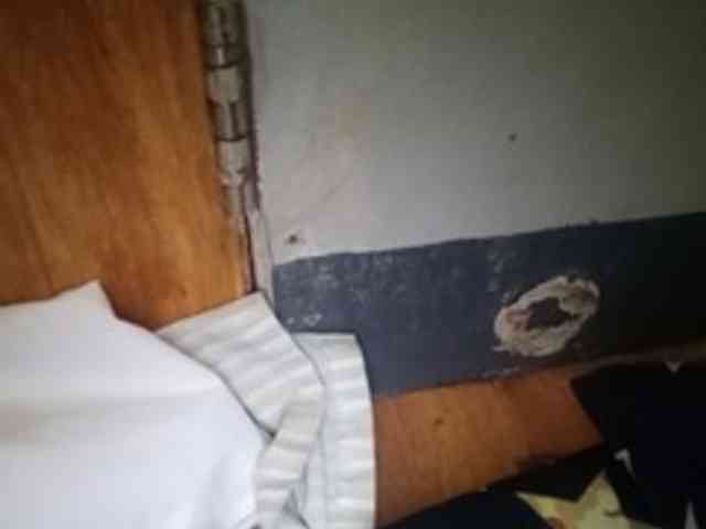 Smithsophie webcam