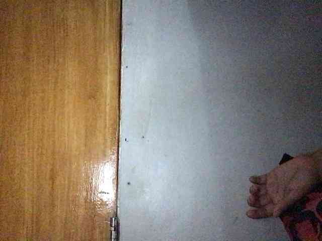 HEARTQUEEN webcam