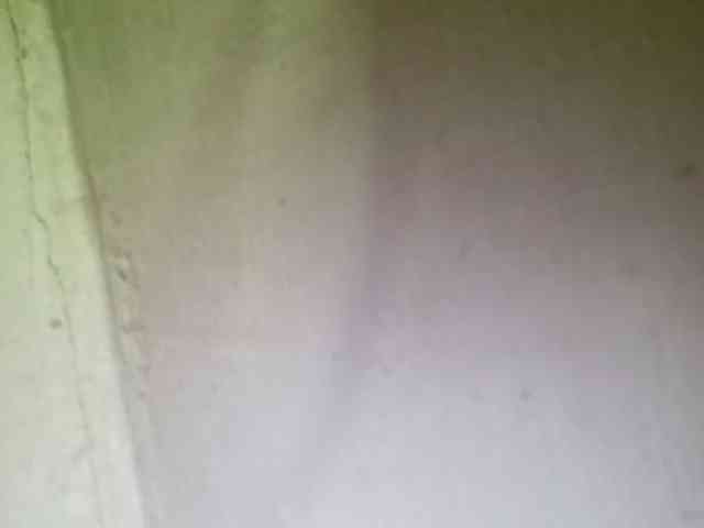 Pempemliciouss