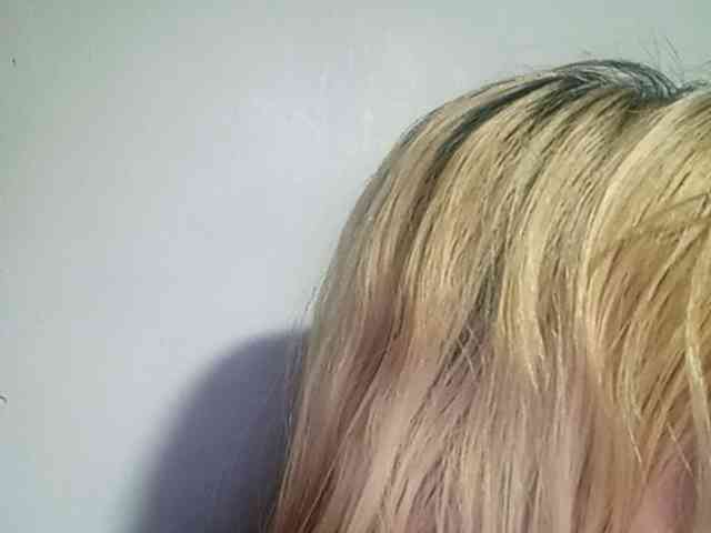 Smithsophie webcam