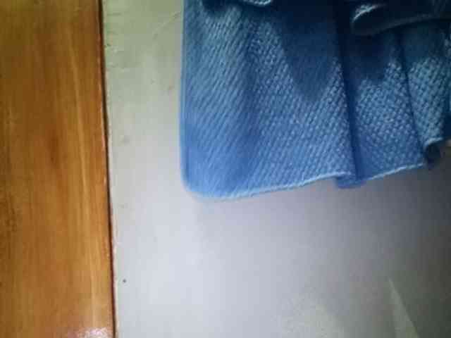 Smithsophie webcam
