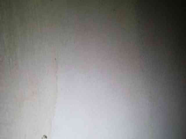Smithsophie webcam