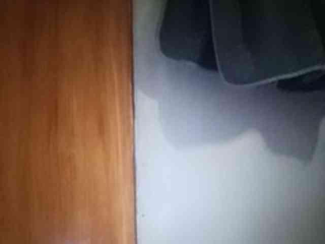 Smithsophie webcam