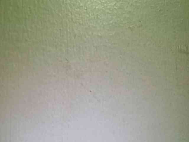 Smithsophie webcam