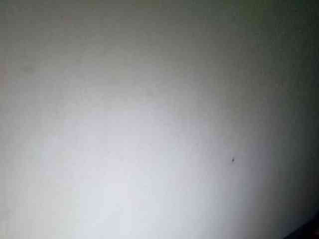 Smithsophie webcam