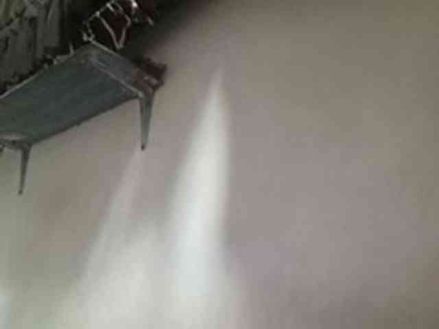 Smithsophie webcam