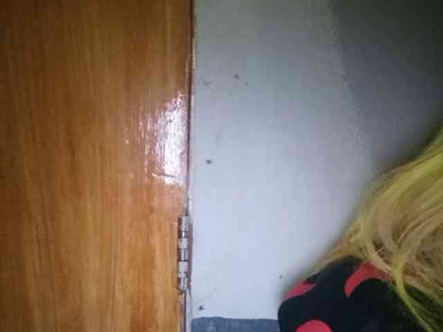 Smithsophie webcam