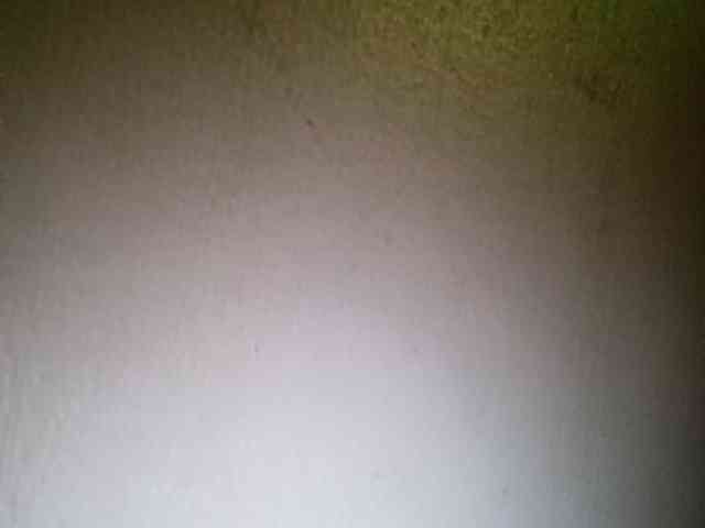Smithsophie webcam