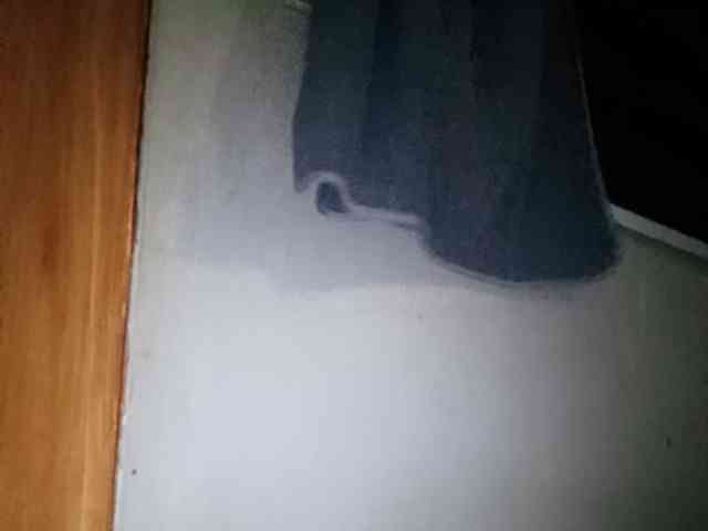 Smithsophie webcam