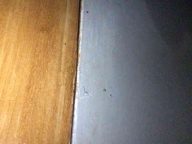 Smithsophie webcam