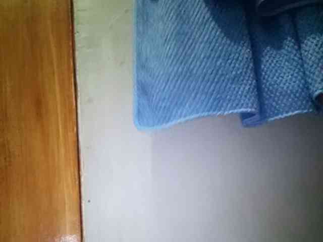 Smithsophie webcam