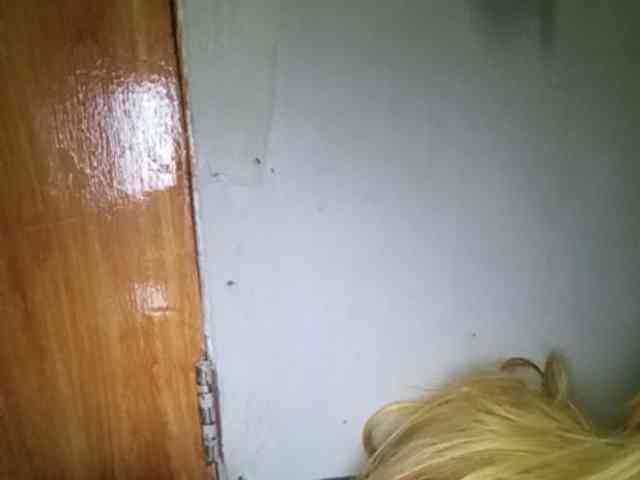 Pempemliciouss Pempemliciouss