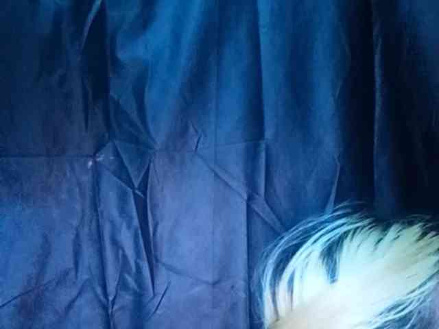 Smithsophie webcam