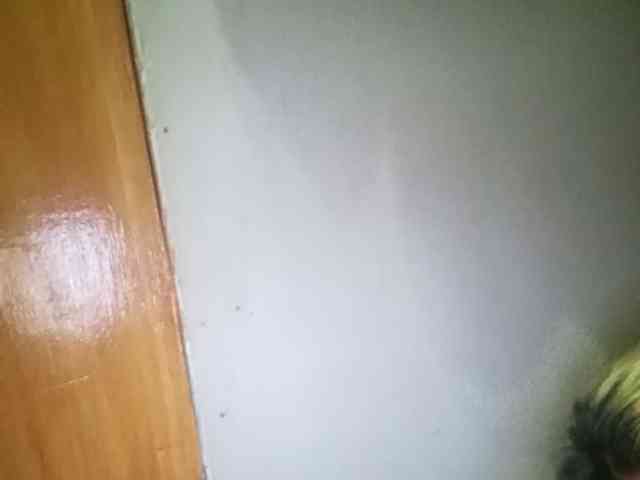 Smithsophie webcam