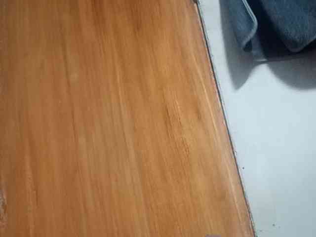 Smithsophie webcam