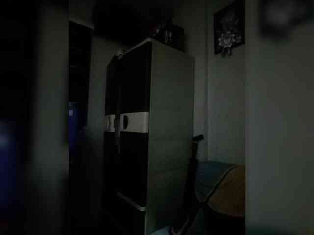 Smithsophie webcam