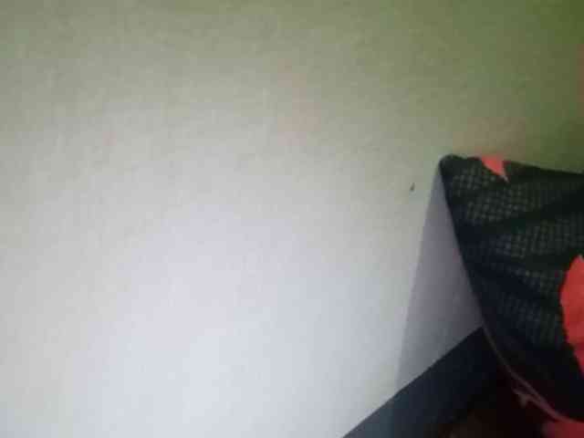 Smithsophie webcam