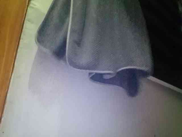 Smithsophie webcam
