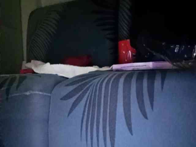 Smithsophie webcam