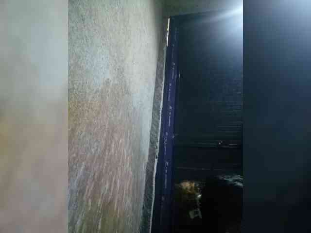 Smithsophie webcam