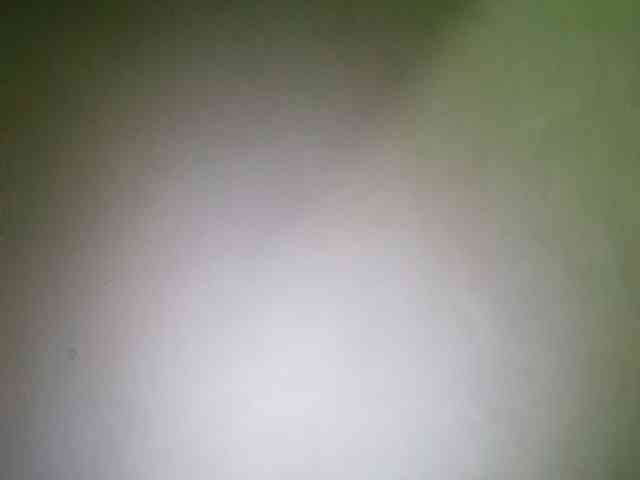 Smithsophie webcam