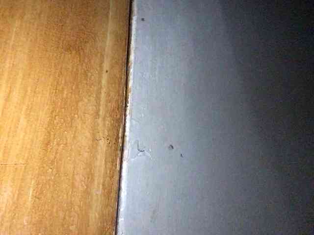 Smithsophie webcam
