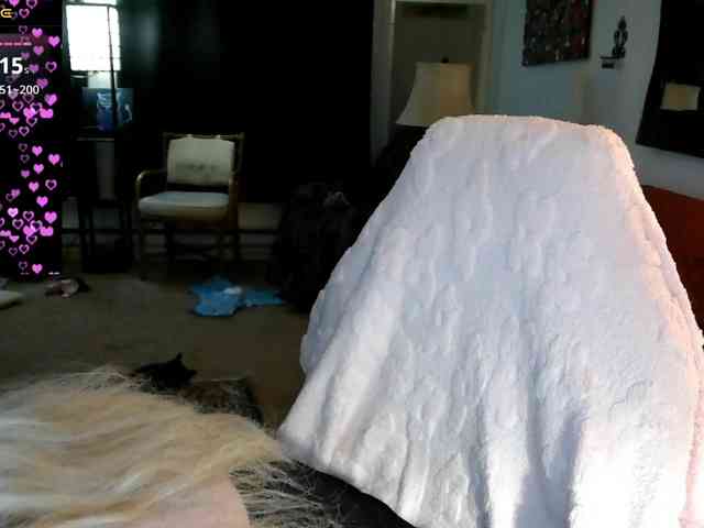 Ava6j74 webcam