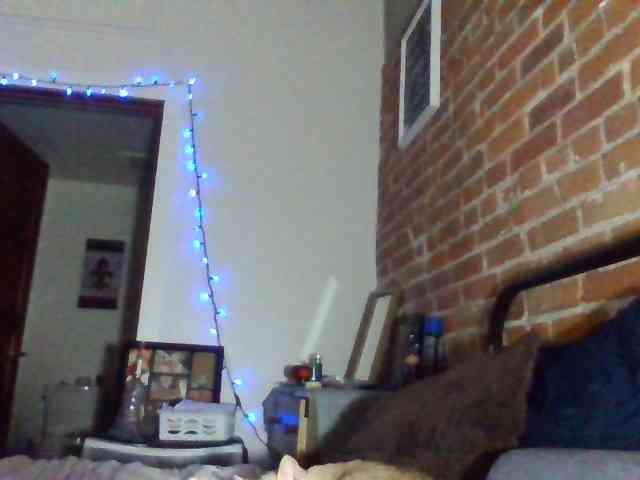 titties4daze webcam