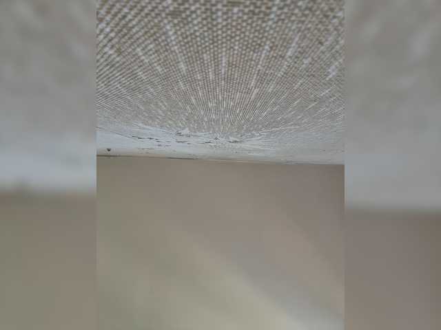 SweetyW- live cam