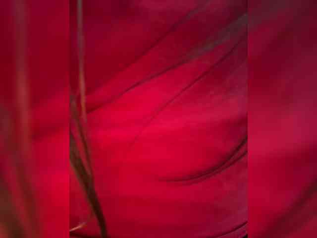 SweetyW-