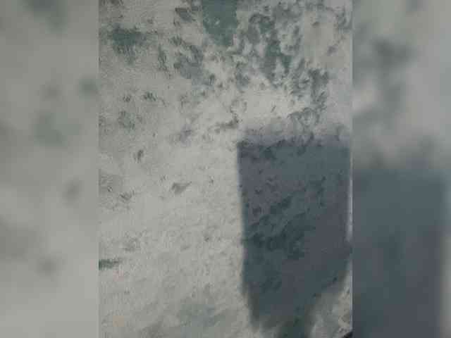 linaaaz webcam