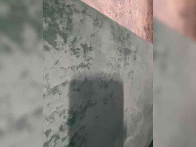 linaaaz webcam