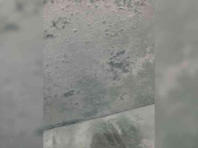 linaaaz webcam
