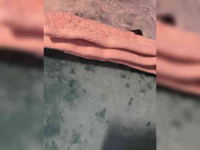 linaaaz webcam