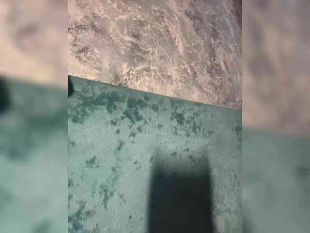 miminika-ice miminika-ice