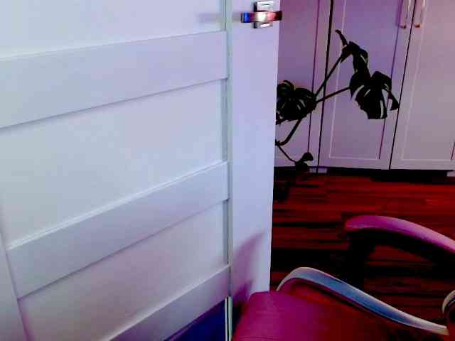 perfectDIANA webcam