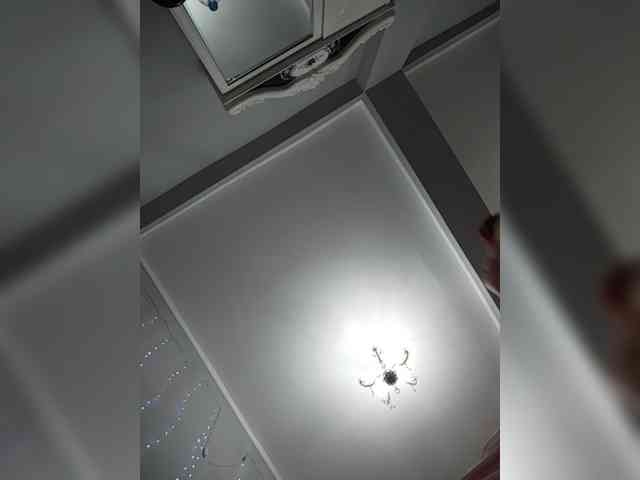 Kitteen