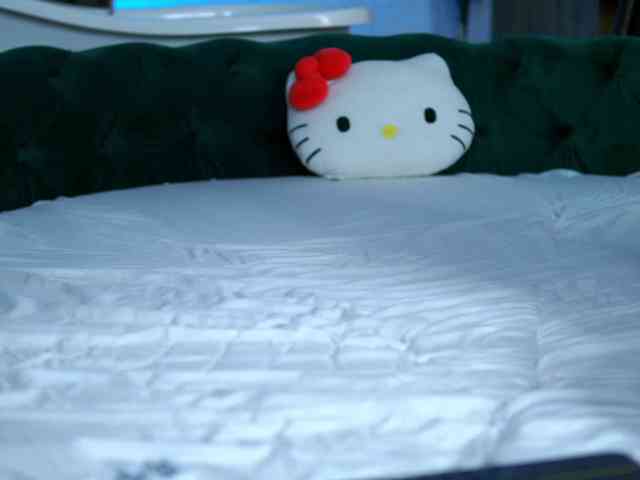 AshaYuva webcam